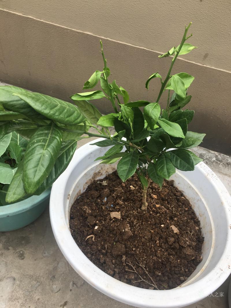 (渼的取名寓意)-开云登录入口